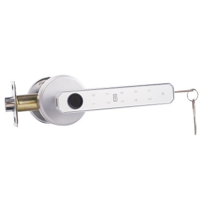 厂家贴牌定制室内三杆球形智能锁一握开家用木门指纹密码锁涂鸦锁图2