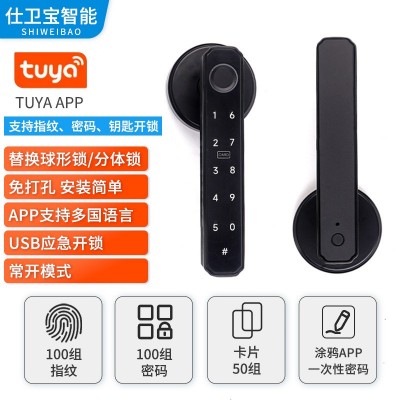 跨境批发室内智能指纹密码锁家用木门三杆执手锁改装智能锁一握开