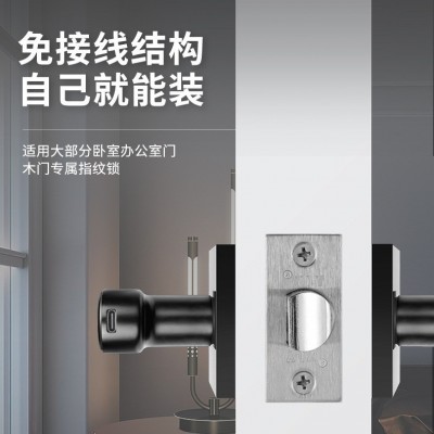 跨境直供室内木门涂鸦指纹锁一握开家用电子锁球形智能锁密码锁