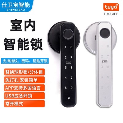 跨境直供室内木门涂鸦指纹锁一握开家用电子锁球形智能锁密码锁图2