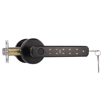 跨境直供室内木门涂鸦指纹锁一握开家用电子锁球形智能锁密码锁图4