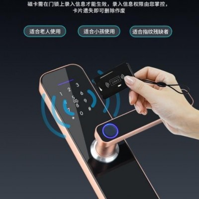 办公室木门指纹锁室内门公寓门出租屋门密码刷卡WIFI涂鸦蓝牙通通图3