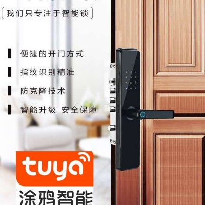 一握即开指纹锁家用防盗智能密码锁刷卡锁中英文涂鸦APP远程开锁图3