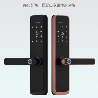 英文WiFi涂鸦Zigbee涂鸦蓝牙通通密码锁办公室卧室木门指纹锁图4