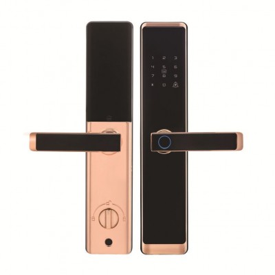 跨境涂鸦WiFi蓝牙通通APP远程操控智能锁一握即开指纹大门锁图2