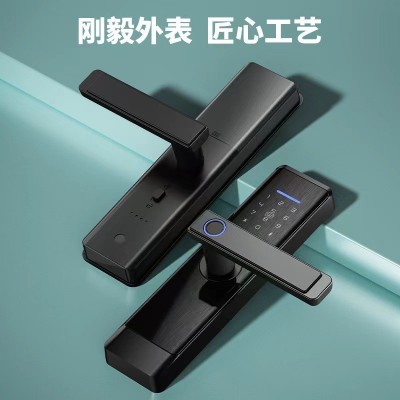 办公木门公寓民宿酒店卧室指纹锁密码刷卡蓝牙通通涂鸦WiFi智能锁图2