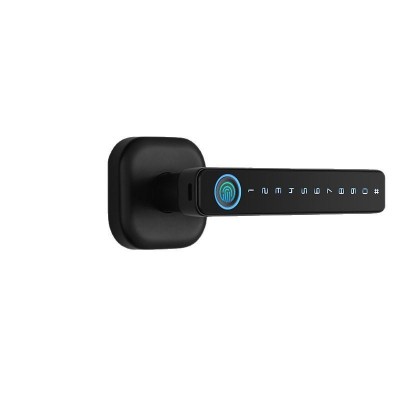 跨境室内家用执手蓝牙涂鸦通通刷卡指纹密码锁木门办公室远程门锁图4