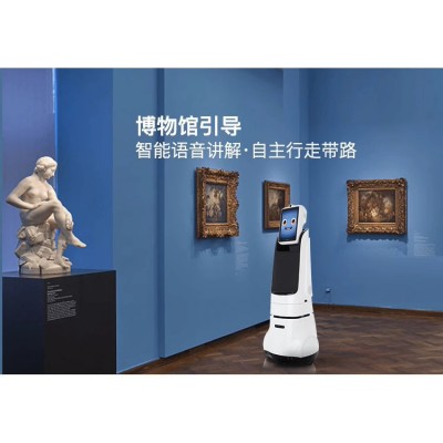 展厅迎宾机器人X1 展馆博物馆智能讲解带路解答自定义语音问答图4