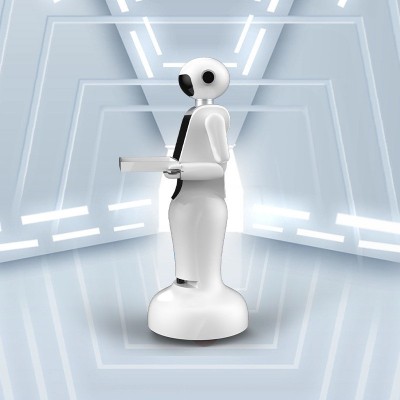 定 制智能机器人语音接待餐厅酒店前台自动迎宾接待服务机器人图5