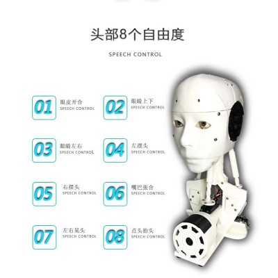 教育人形大卫多关节机器人 商用服务宣传咨询智能机器人跨境供应图2