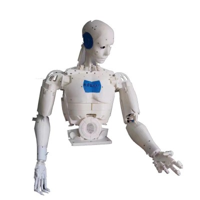 教育人形大卫多关节机器人 商用服务宣传咨询智能机器人跨境供应图5