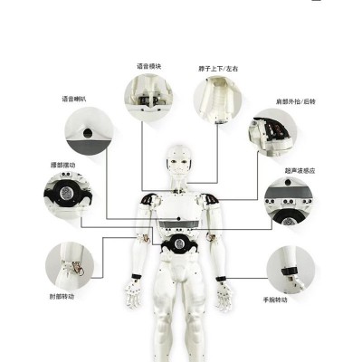 教育人形大卫多关节机器人 商用服务宣传咨询智能机器人跨境供应图4