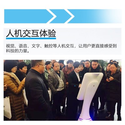 商用迎宾行政服务AI机器人 智能机器人 商用商场迎宾导购机器人图2